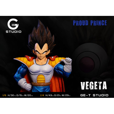 Dragon Ball Z Prince Vegeta GE-T Studio