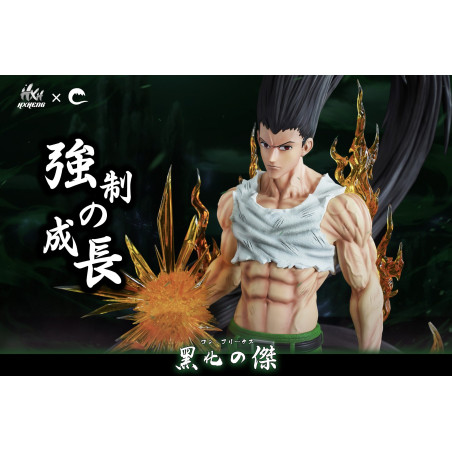 Hunter X Hunter Gon Freecss Cheng Studio