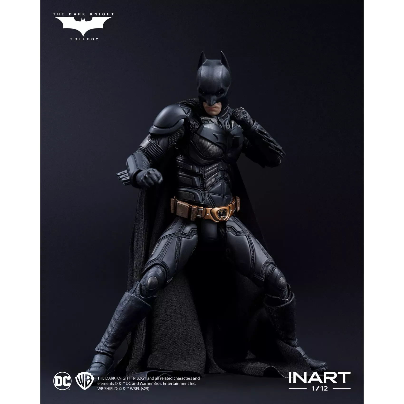 DC Batman The Dark Knight Rises Inart