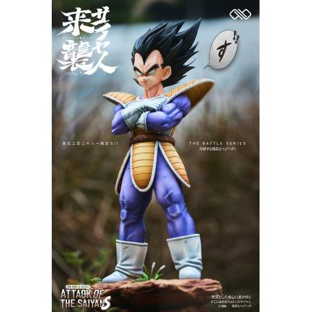 Dragon Ball Z Son Goku Vs Vegeta Infinite Studio