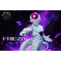 Dragon Ball Z Frieza & Cooler Fierce Battle Studio