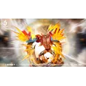 One Piece Franky DX Studio