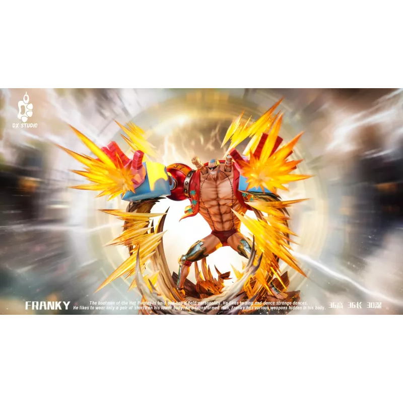 One Piece Franky DX Studio