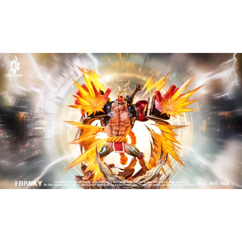 One Piece Franky DX Studio
