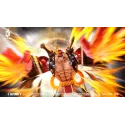 One Piece Franky DX Studio