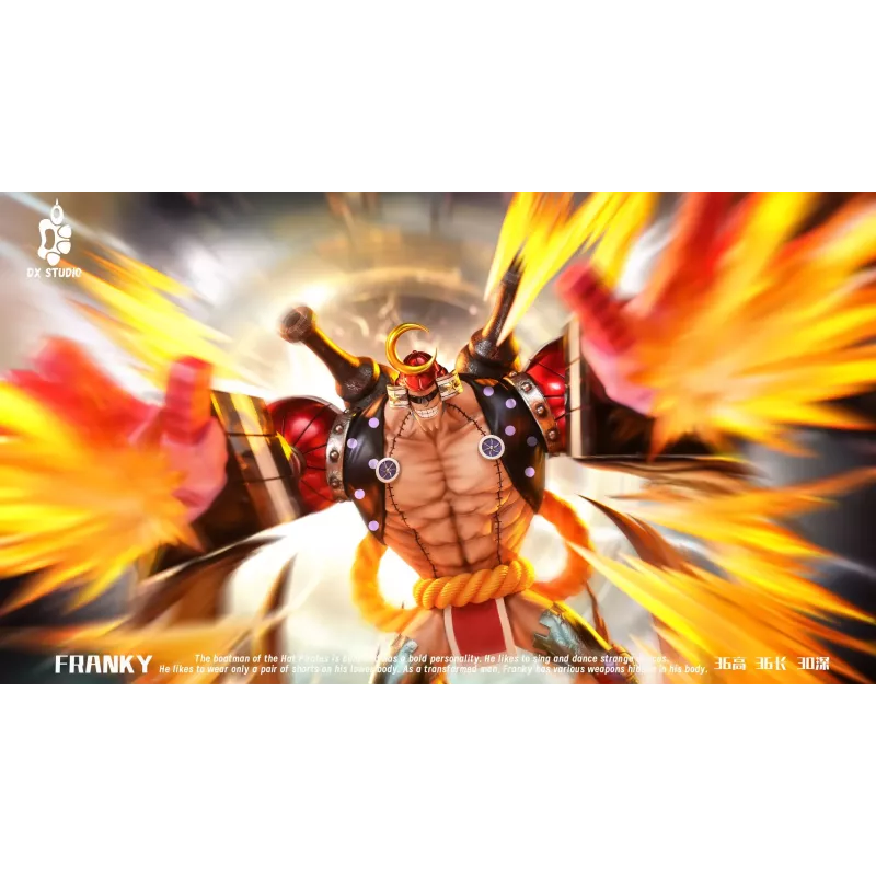 One Piece Franky DX Studio