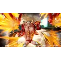 One Piece Franky DX Studio