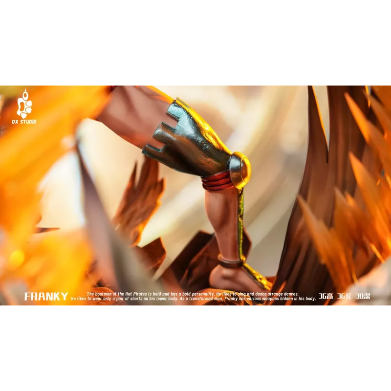 One Piece Franky DX Studio