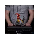 DC The Flash Iron Studios