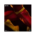 DC The Flash Iron Studios