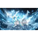 Pokémon Black and White Kyurem Wonder Studio