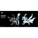 Pokémon Black and White Kyurem Wonder Studio
