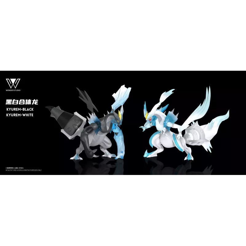 Pokémon Black and White Kyurem Wonder Studio