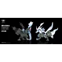 Pokémon Black and White Kyurem Wonder Studio