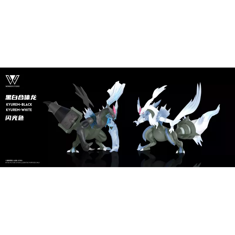 Pokémon Black and White Kyurem Wonder Studio
