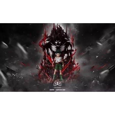 Hunter × Hunter Gon Freecss PG Studio