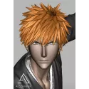 Bleach Kurosaki Ichigo AC Studio