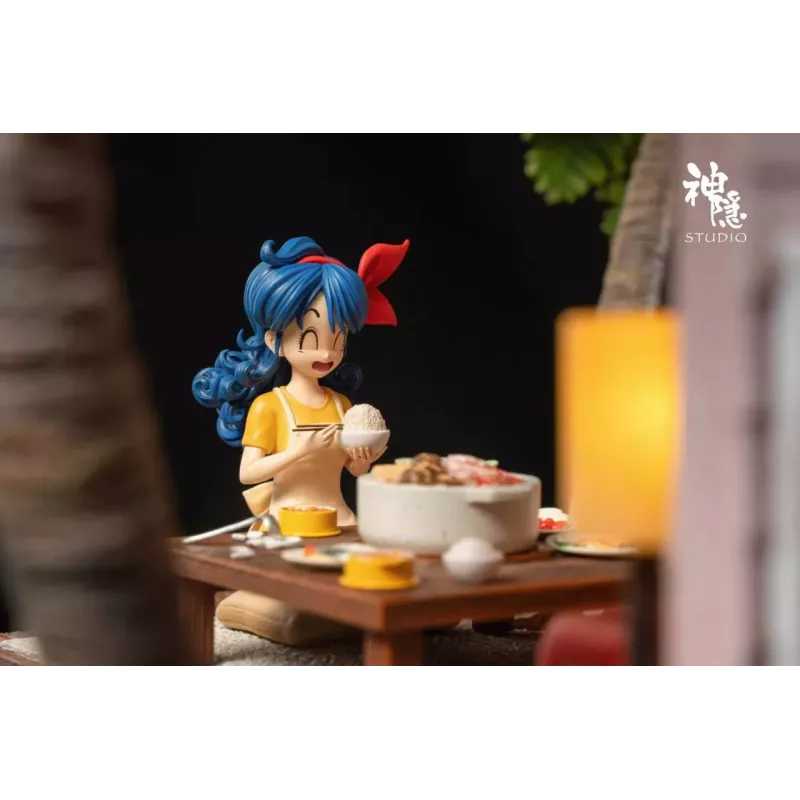 Dragon Ball Kame House SY Studio