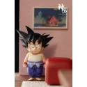Dragon Ball Kame House SY Studio