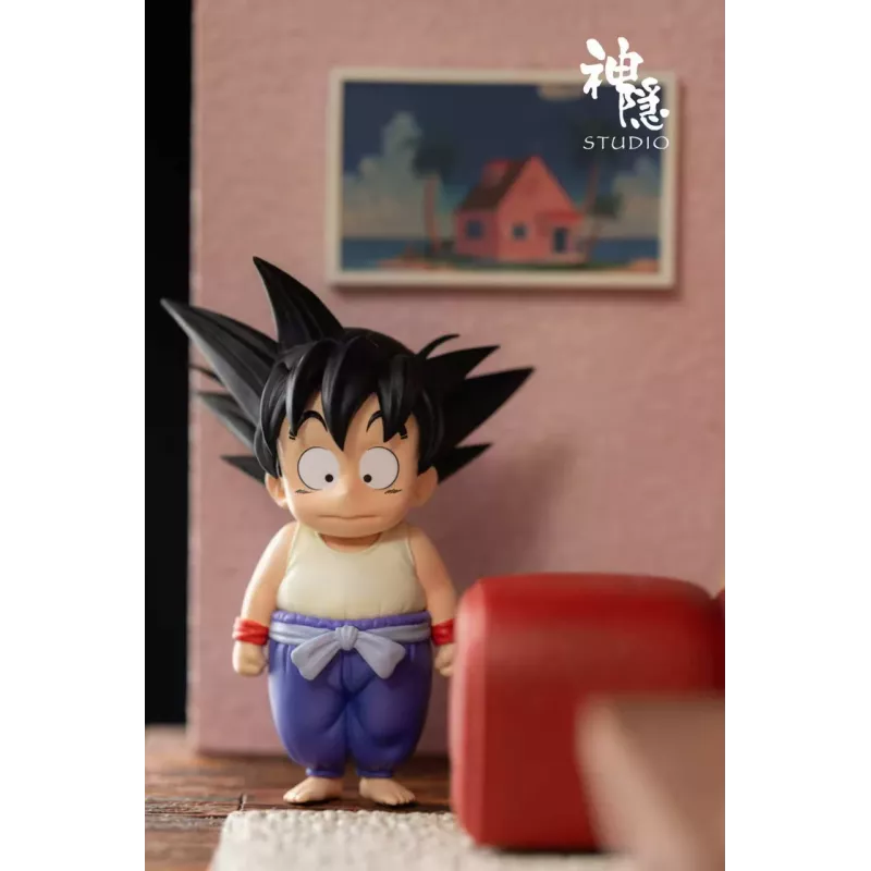 Dragon Ball Kame House SY Studio