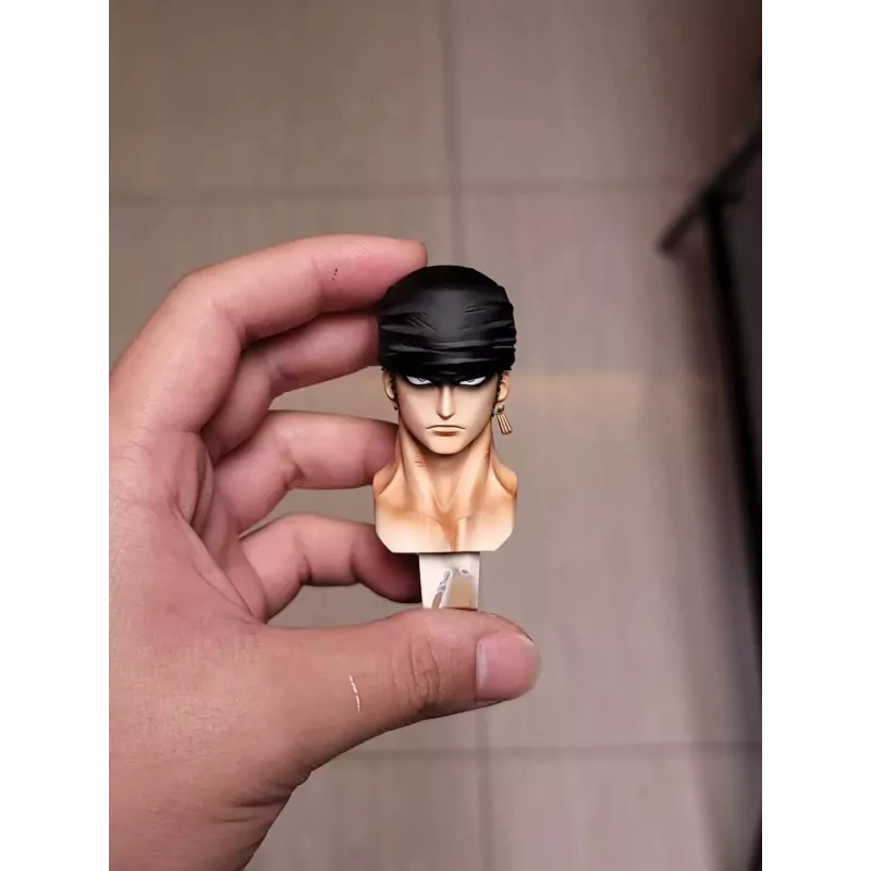 One Piece Thriller Bark Zoro Jinshan