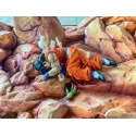 Dragon Ball Z The death of Yamcha Sky Top