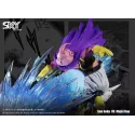 Dragon Ball Z Goku SSJ3 vs Fat Buu Sky Top