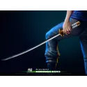 One Piece Sky Island Zoro AO Studio