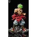 Dragon Ball Z Broly Break Studio