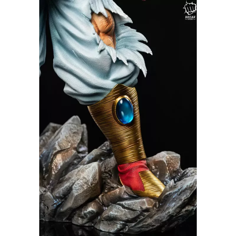 Dragon Ball Z Broly Break Studio