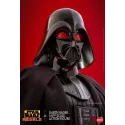 Star Wars Darth Vader Hono