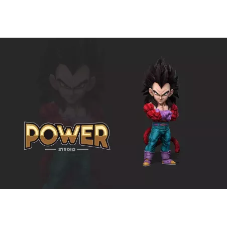 Dragon Ball GT Vegeta SSJ4 WCF Power Studio