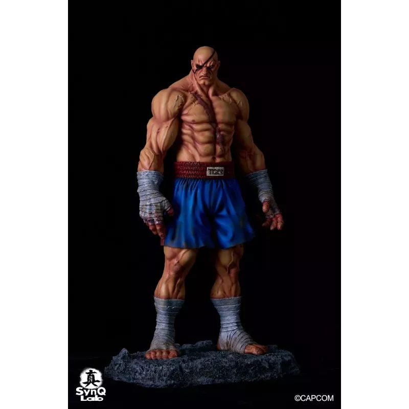Street Fighter Sagat SynQ Lab