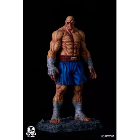 Street Fighter Sagat SynQ Lab