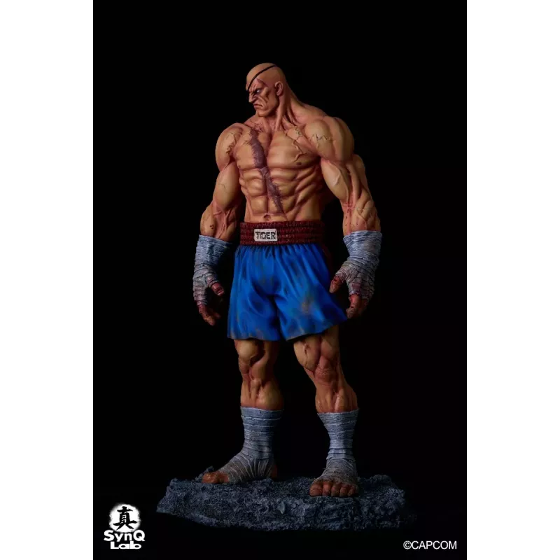Street Fighter Sagat SynQ Lab