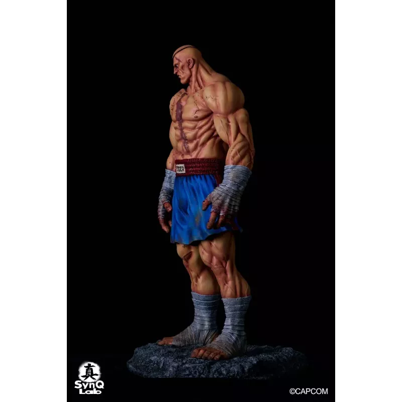 Street Fighter Sagat SynQ Lab
