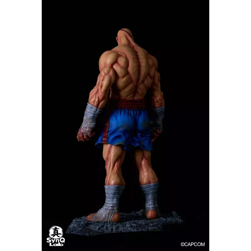 Street Fighter Sagat SynQ Lab