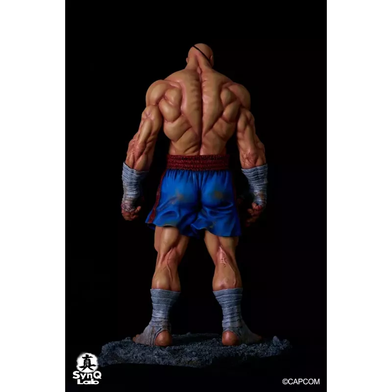 Street Fighter Sagat SynQ Lab