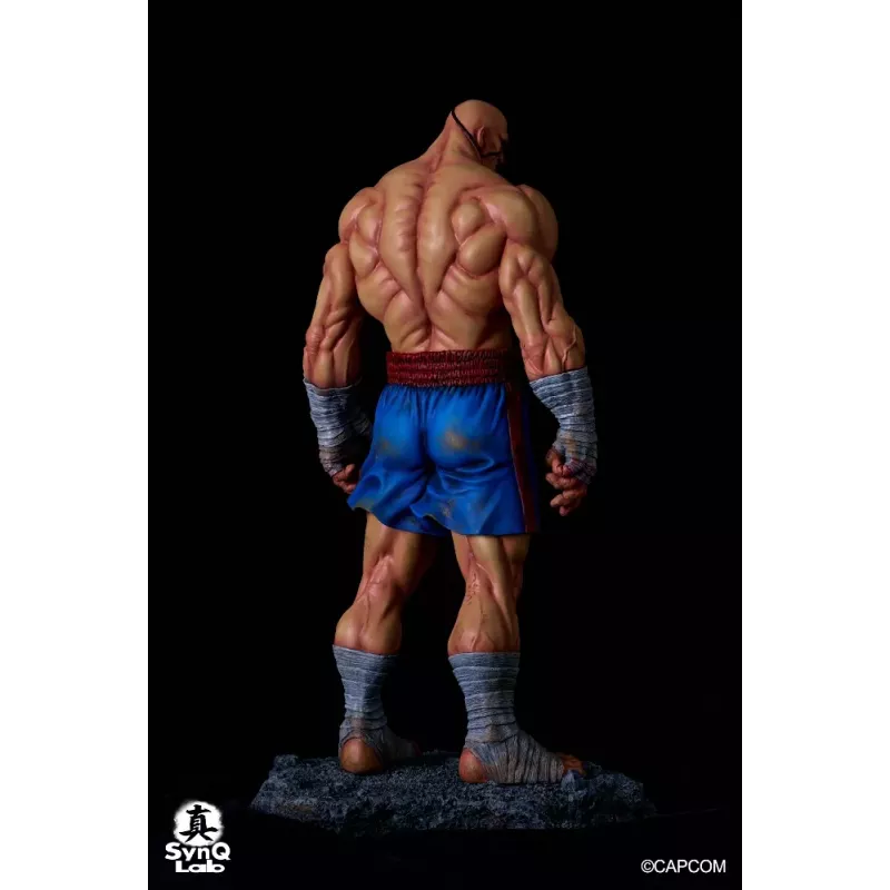 Street Fighter Sagat SynQ Lab