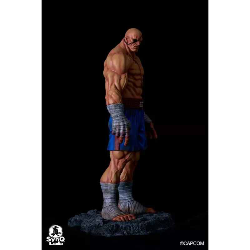 Street Fighter Sagat SynQ Lab