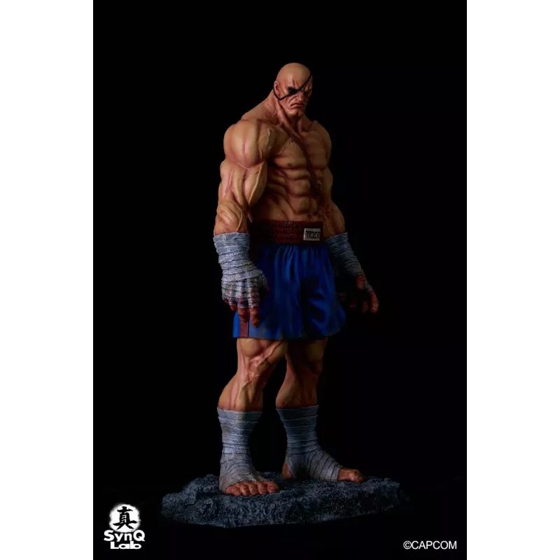 Street Fighter Sagat SynQ Lab