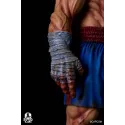 Street Fighter Sagat SynQ Lab
