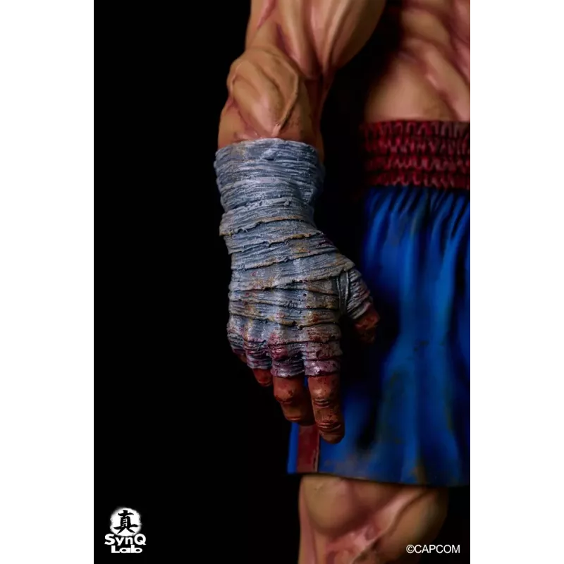 Street Fighter Sagat SynQ Lab