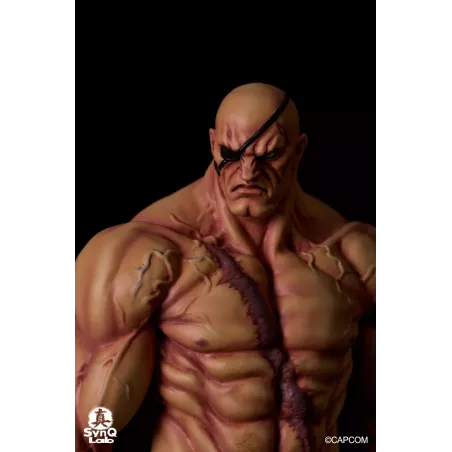 Street Fighter Sagat SynQ Lab