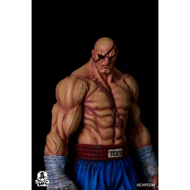 Street Fighter Sagat SynQ Lab