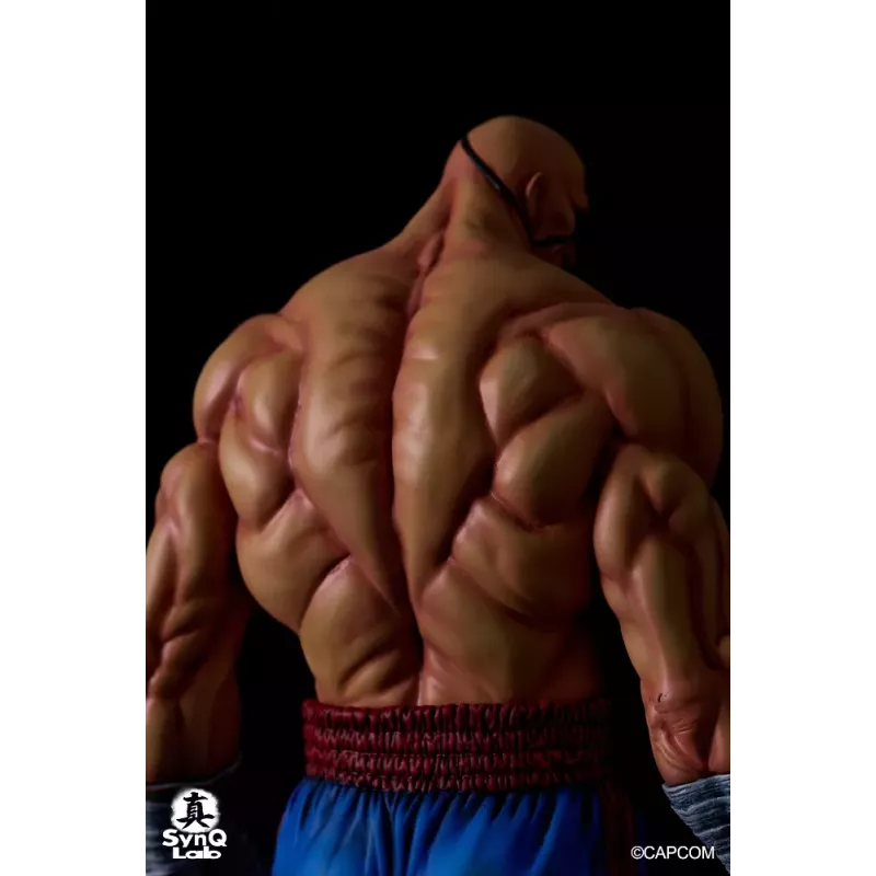 Street Fighter Sagat SynQ Lab