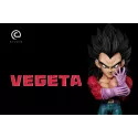 Dragon Ball GT Vegeta SSJ4 WCF C Studio
