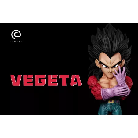Dragon Ball GT Vegeta SSJ4 WCF C Studio