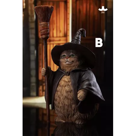 Original Character Wizard Cat JXK Studio