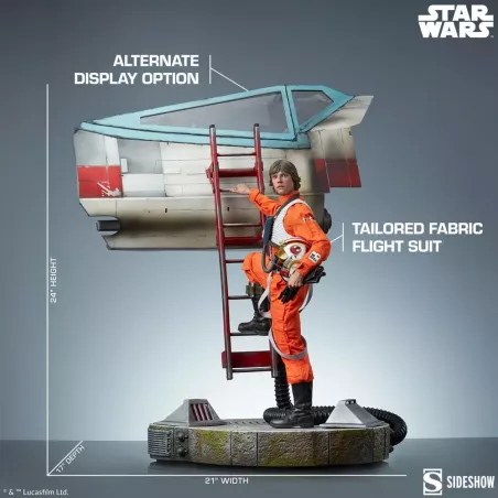 Star Wars Luke Skywalker & X-Wing: Red Five Sideshow
